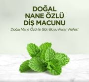 Eyüp Sabri Tuncer Doğal Nane Özlü Diş Macunu 90 ml