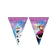 Frozen Buz Işıltısı Bayrak Set