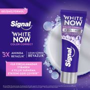 Signal White Now Color Correct Diş Macunu 75 ml