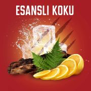 Old Spice Erkek Deodorant Sprey Bearglove 150 ml