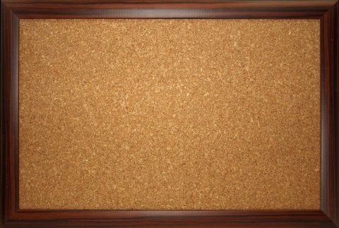 Safari Mantar Pano Ahşap Çerçeve 120x120