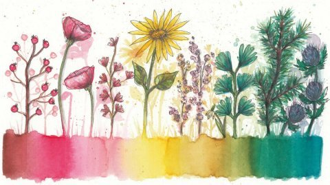 Staedtler Keçeli Kalem Çift Uçlu 72 Renk