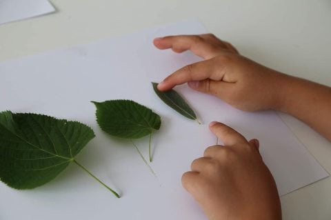 Prımo Üçgen Sihirli Mum Boya 12 Renk