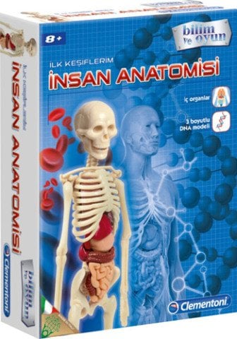 Clementoni İlk Keşiflerim – İnsan Anatomisi