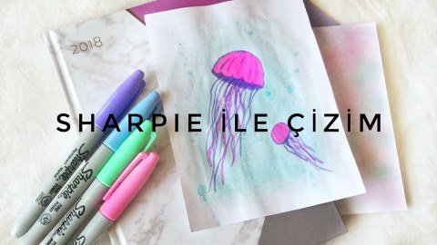 Sharpie Permanent Kalem Seti Fine Uç 26 Renk Aslan