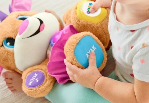 Fisher-Price Eğitici Köpekçiğin Kız Kardeşi