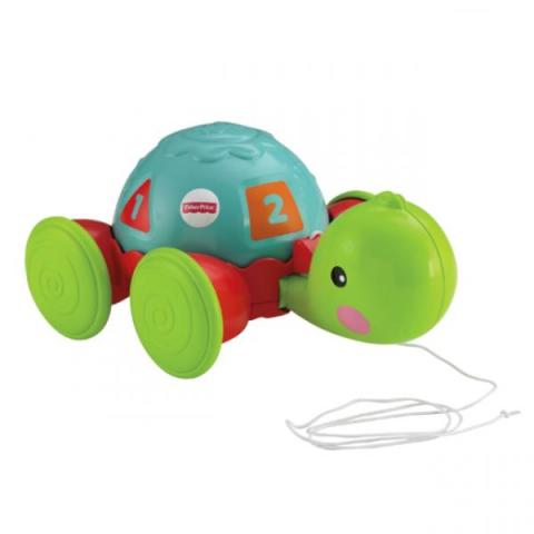 Fisher Price Çek Çek Kaplumbağa Y8652