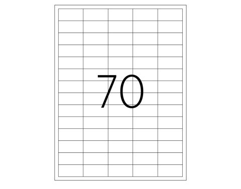 Tanex TW-2270 Laser Etiket 40x20mm