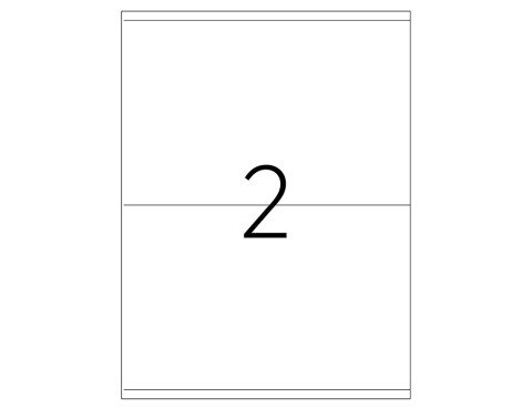Tanex TW-2302 Laser Etiket 210x140mm