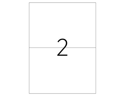 Tanex TW-2402 Laser Etiket 210x143mm