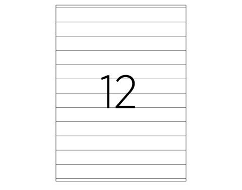 Tanex TW-2524 Laser Etiket 210x24mm