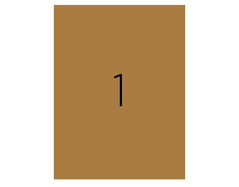 Tanex TW-2000KR Laser Etiket Pastel Kraft 210x297mm