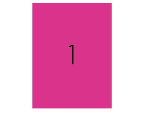 Tanex TW-2000P Laser Etiket Pastel Pembe 210x297mm