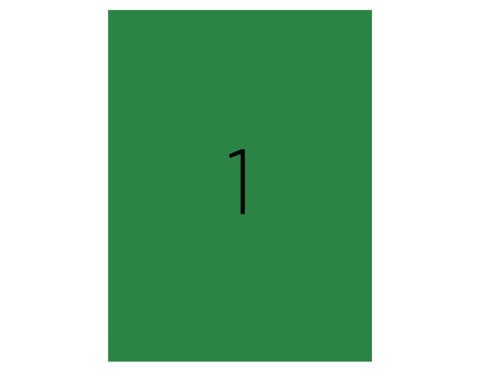 Tanex TW-2000Y Laser Etiket Pastel Yeşil 210x297mm