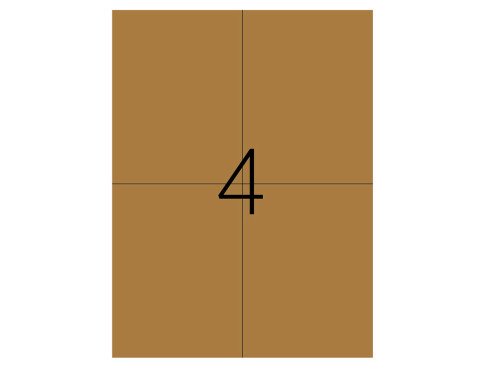 Tanex TW-2204KR Laser Etiket Pastel Kraft 105X148.5mm