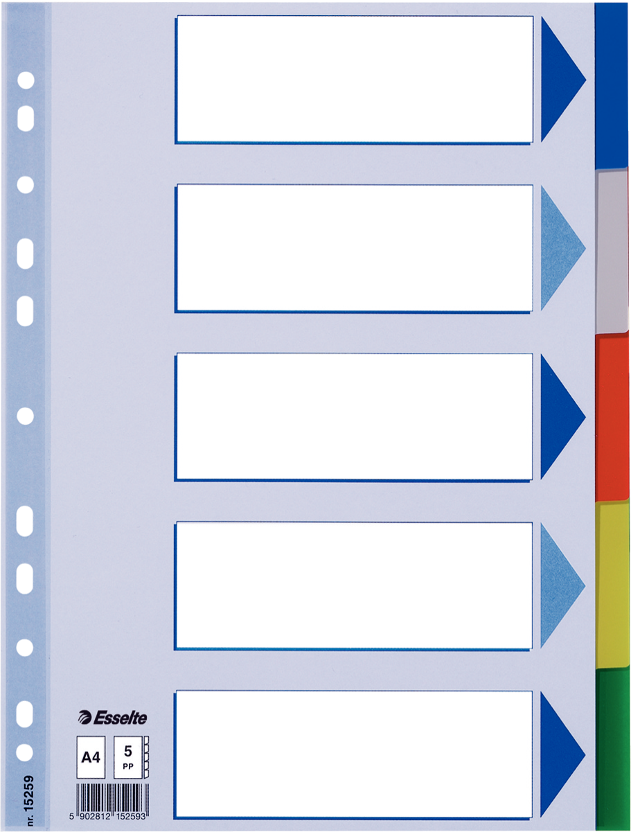 Esselte Separatör A4 5 Renkli