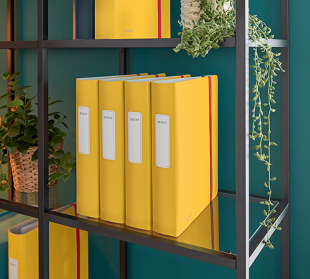 Leitz 180 Active Cosy Dar Klasör Sarı