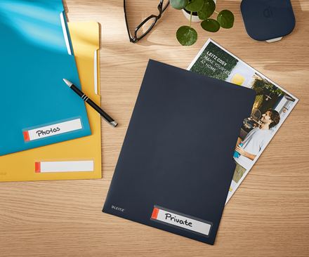 Leitz Cosy L Gizlilik Dosyası, A4 Gri