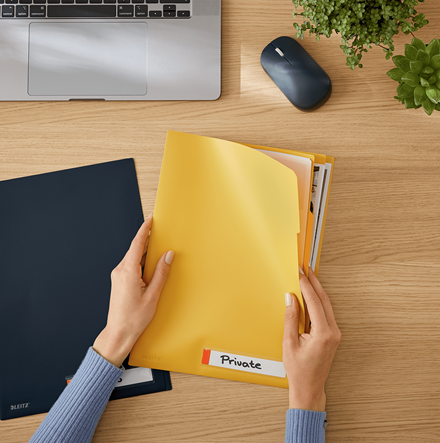 Leitz Cosy 3 Bölmeli L Gizlilik Dosyası, A4 Sarı