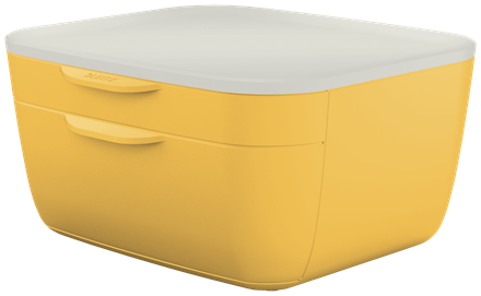 Leitz Çekmeceli Evrak Rafı Sarı