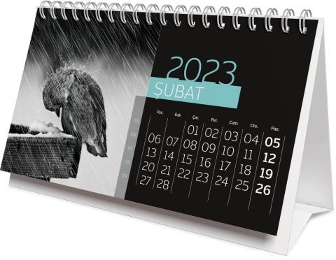 Gıpta Üçgen Masa Takvimi 2023