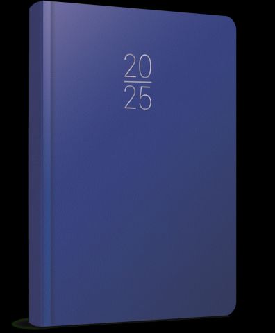 Gıpta 2025 Ekonomik Cilt Bezi Günlük Ajanda 17x24