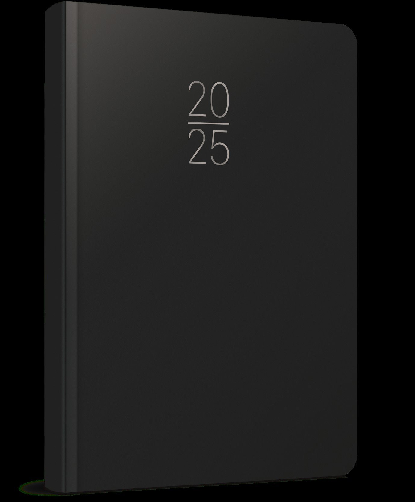 Gıpta 2025 Ekonomik Cilt Bezi Günlük Ajanda 17x24