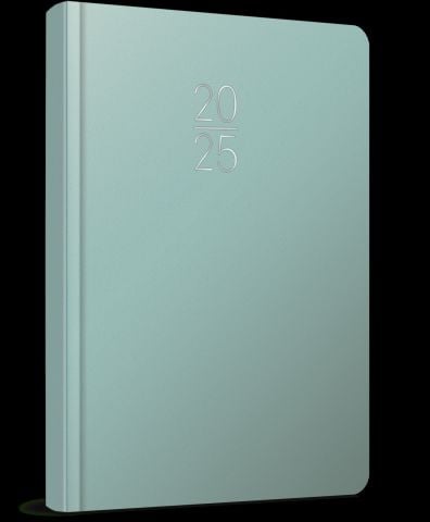 Gıpta 2025 Ekonomik Cilt Bezi Günlük Ajanda 17x24