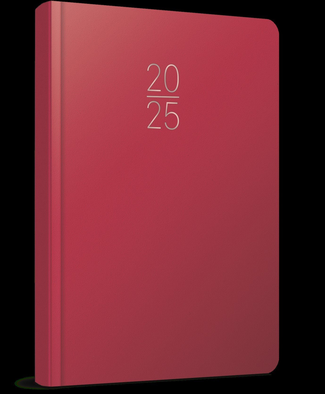 Gıpta 2025 Ekonomik Cilt Bezi Günlük Ajanda 17x24