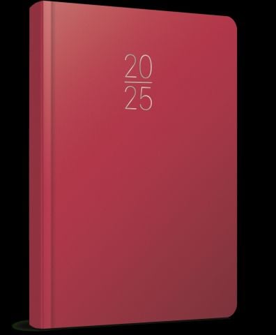 Gıpta 2025 Ekonomik Cilt Bezi Günlük Ajanda 17x24