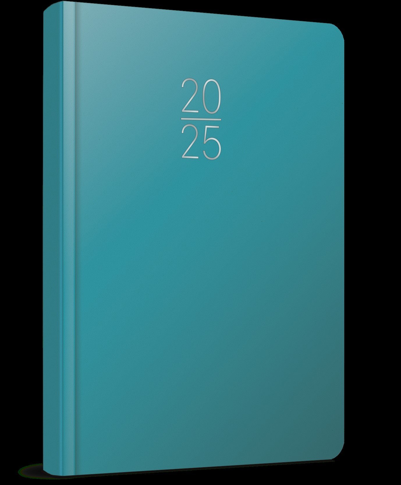 Gıpta 2025 Ekonomik Cilt Bezi Günlük Ajanda 17x24