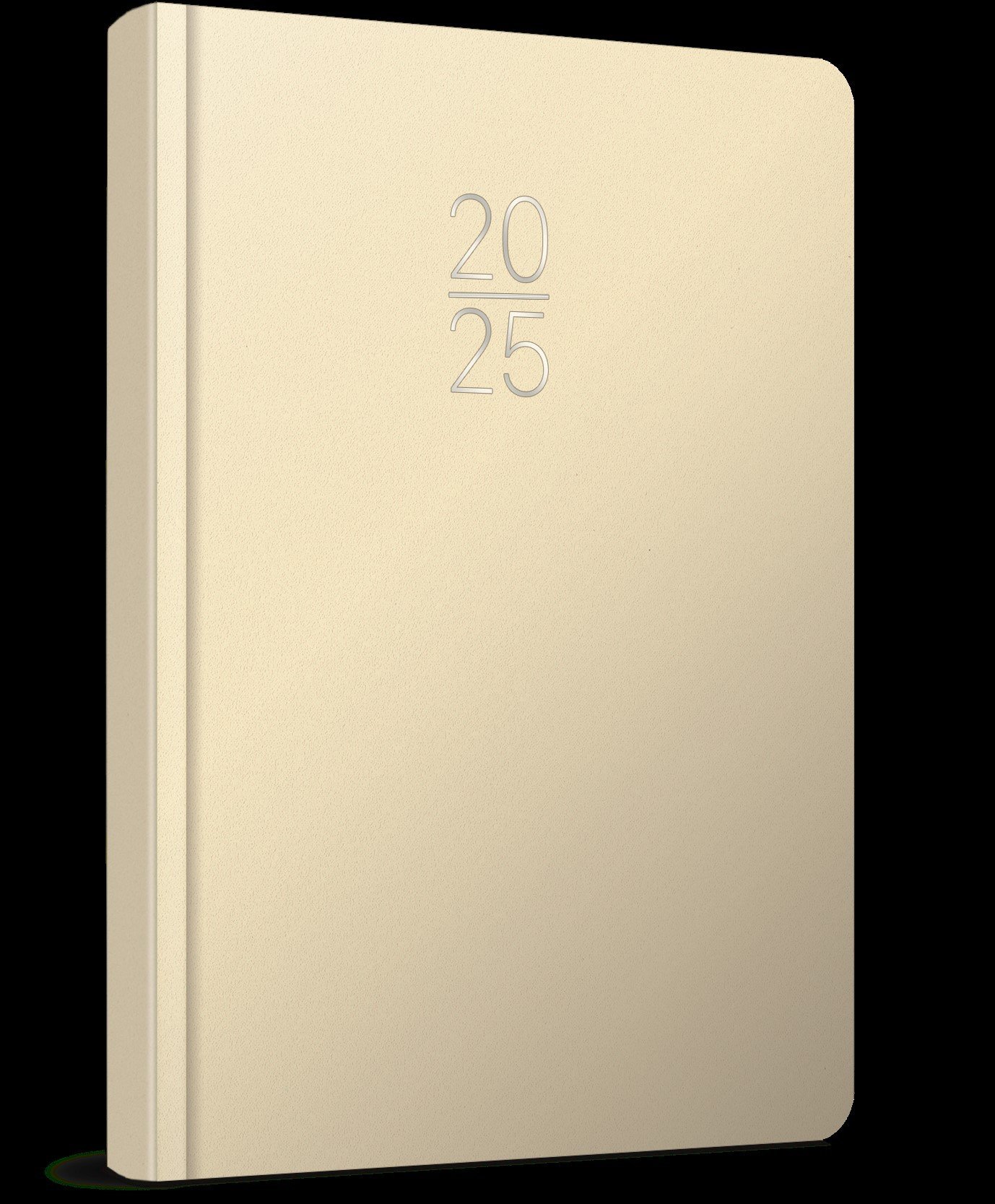 Gıpta 2025 Ekonomik Cilt Bezi Günlük Ajanda 17x24