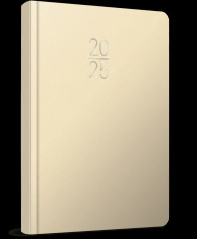 Gıpta 2025 Ekonomik Cilt Bezi Günlük Ajanda 17x24