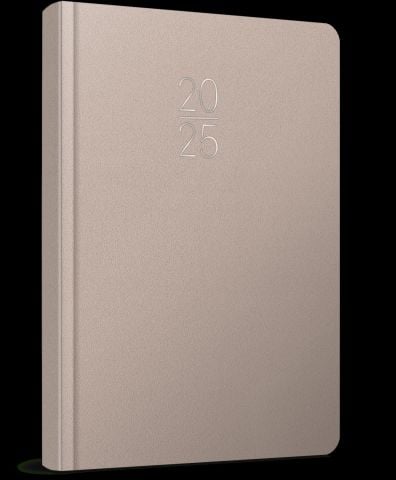 Gıpta 2025 Ekonomik Cilt Bezi Günlük Ajanda 17x24