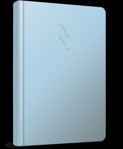 Gıpta 2025 Ekonomik Cilt Bezi Günlük Ajanda 17x24