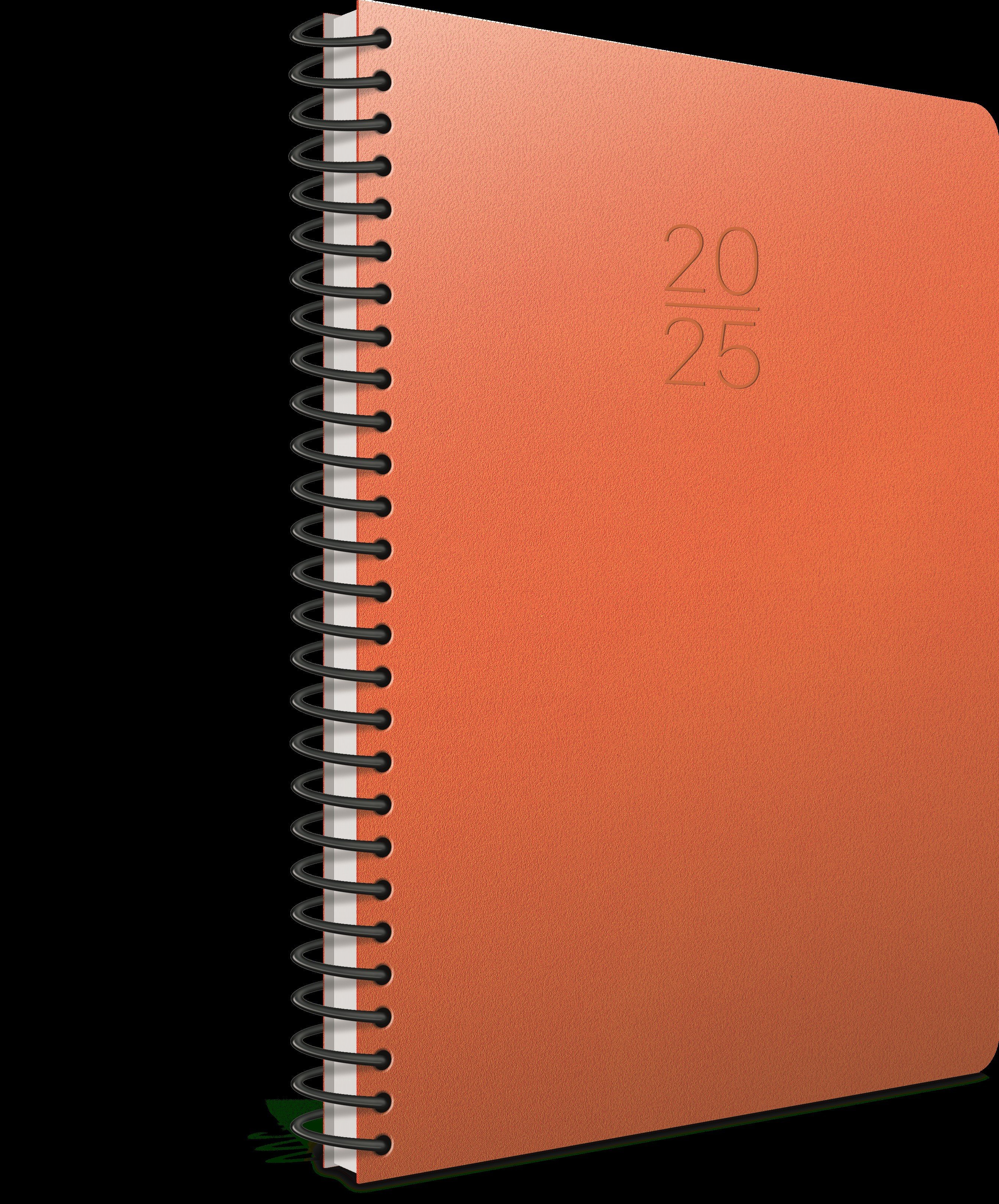 Gıpta 2025 Ekonomik Spiralli Günlük Ajanda 17x24cm