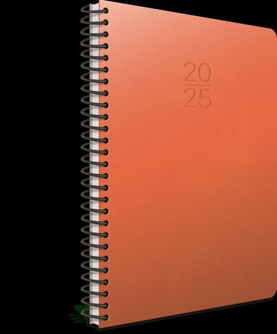 Gıpta 2025 Ekonomik Spiralli Günlük Ajanda 17x24cm