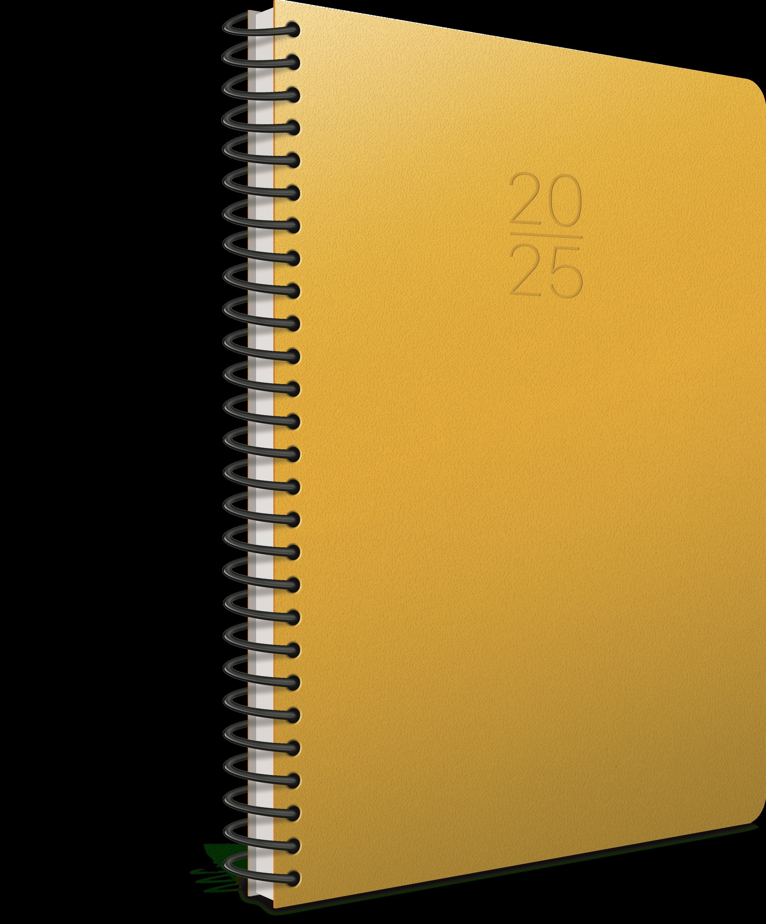 Gıpta 2025 Ekonomik Spiralli Günlük Ajanda 17x24cm