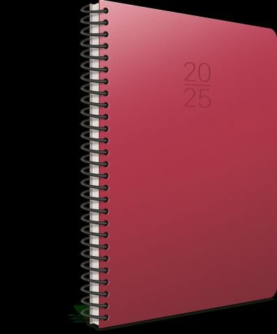 Gıpta 2025 Ekonomik Spiralli Günlük Ajanda 17x24cm