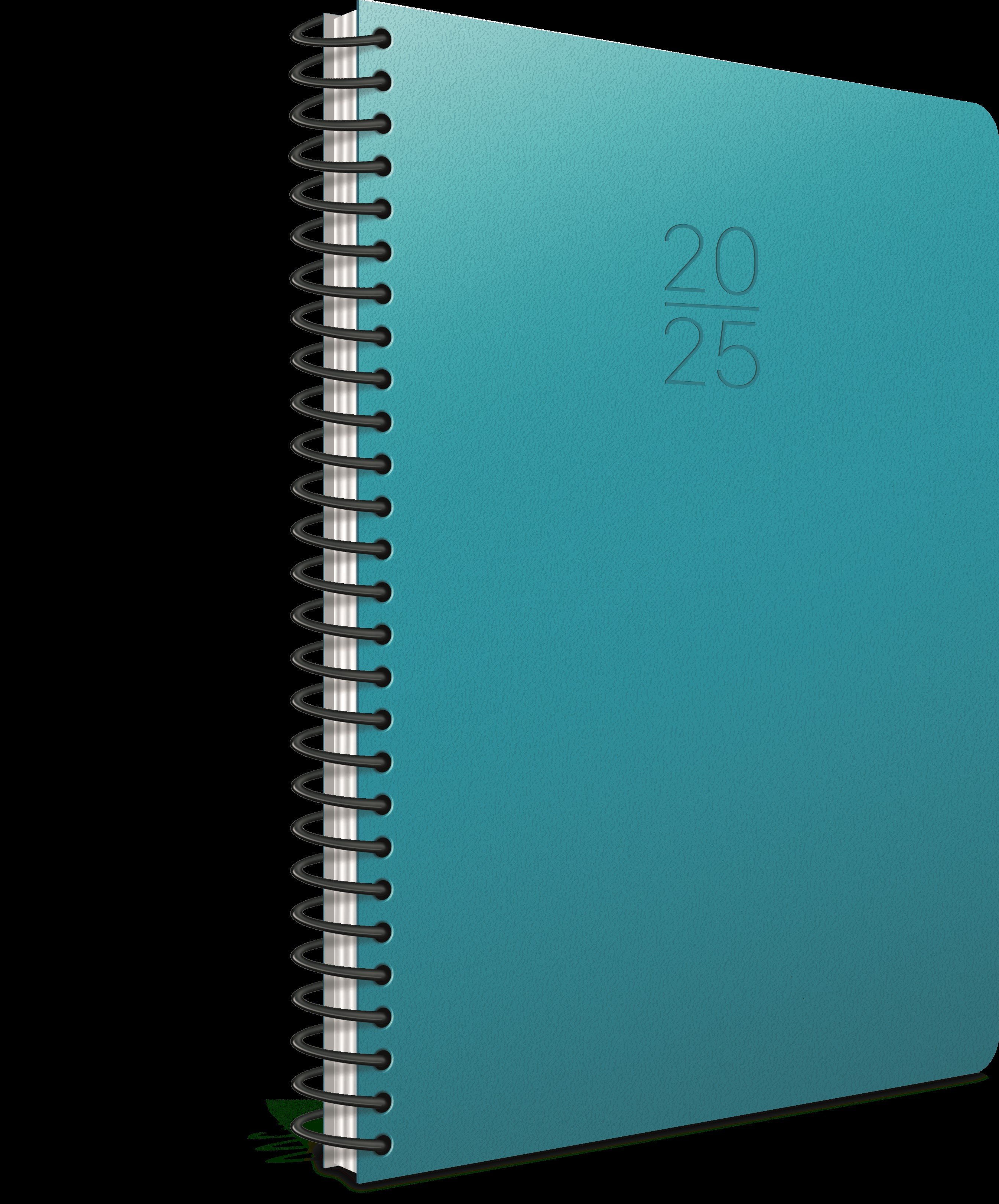 Gıpta 2025 Ekonomik Spiralli Günlük Ajanda 17x24cm