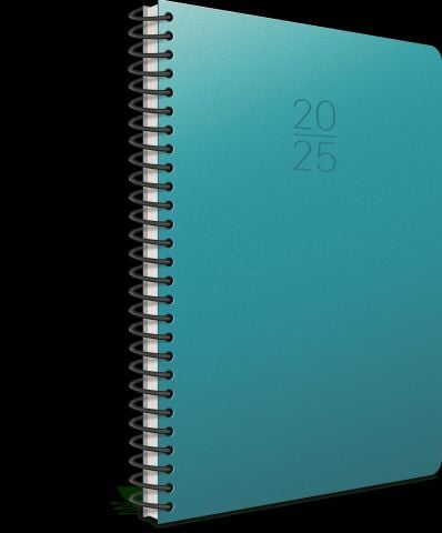 Gıpta 2025 Ekonomik Spiralli Günlük Ajanda 17x24cm