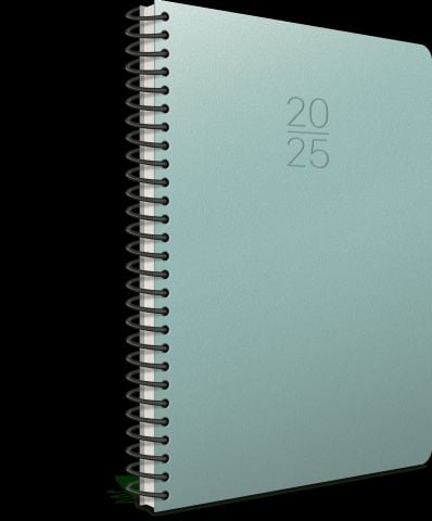 Gıpta 2025 Ekonomik Spiralli Günlük Ajanda 20x28cm