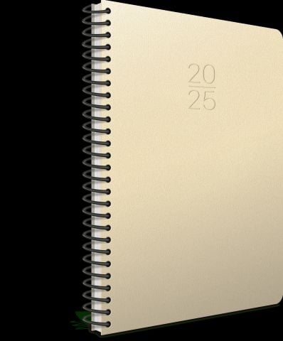 Gıpta 2025 Ekonomik Spiralli Günlük Ajanda 20x28cm