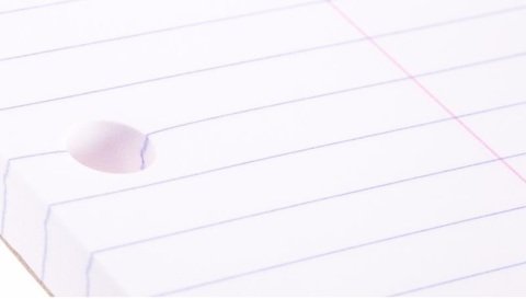 Rhodia A4+ Turuncu Kapak Çizgili Bloknot 80 Sayfa 21x31.8cm