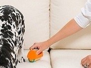 Tesa Rulo Yapışkanlı Tüy Toplayıcı Yedek 6x120