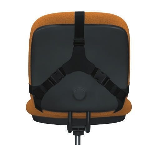 Fellowes 7873 Üst Düzey Sırt Desteği