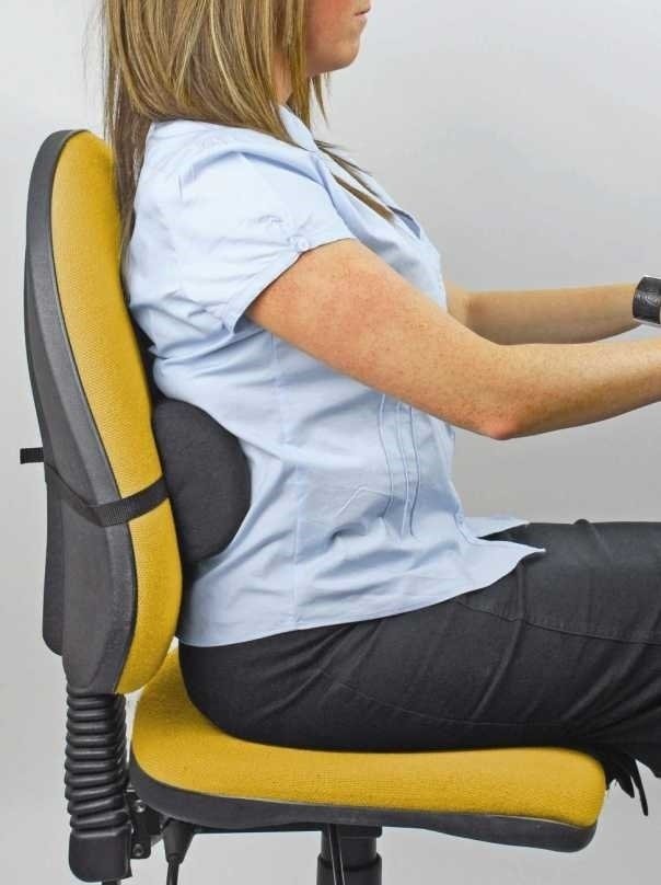 Fellowes 7878 Portatif Sırt Desteği