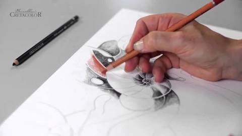 Cretacolor Black Karakalem Çizim Seti Metal Kutu 20 Parça Metal Kutu 40030