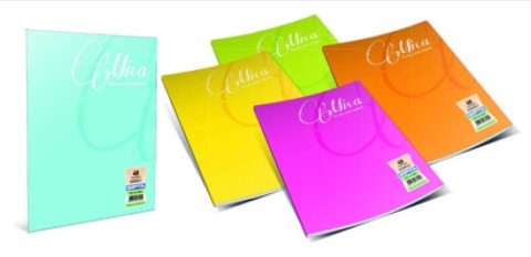 Mica A5 Tel Dikis 100 Yaprak Kareli Defter