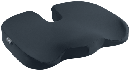 Leitz Cosy Ergo Destek Minderi- Seat Cushion Gri